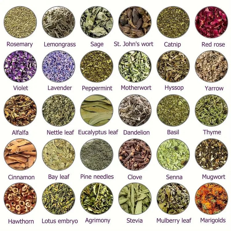 𝐀𝐧𝐧𝐢𝐞𝐂𝐚𝐫𝐞® 𝟑𝟎-𝐇𝐞𝐫𝐛 𝐒𝐥𝐢𝐦𝐦𝐢𝐧𝐠 & 𝐃𝐞𝐭𝐨𝐱 𝐅𝐨𝐨𝐭 𝐁𝐚𝐭𝐡 𝐁𝐞𝐚𝐝𝐬👩‍⚕️