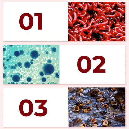 🔥Universal Concentrated Red Worm Liquid Bait for Fishing Attractant