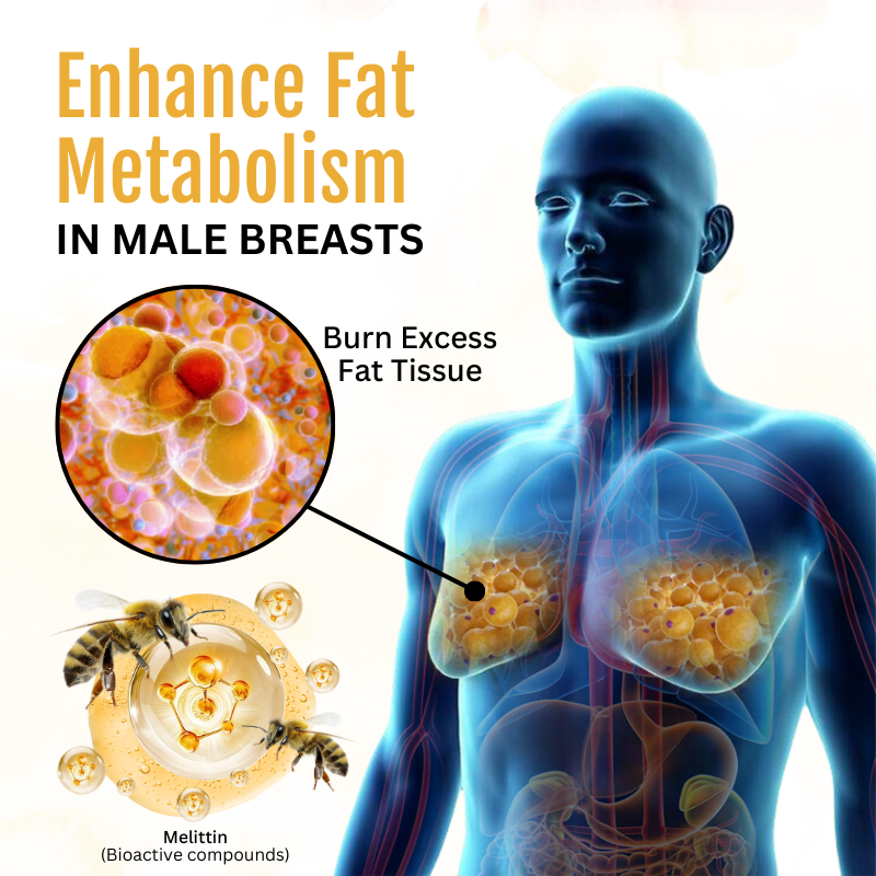 Biancat® ThermoFirm Bee Venom Gynecomastia Oil🎉SPECIAL OFFER: 60% OFF This Today Only!🔥