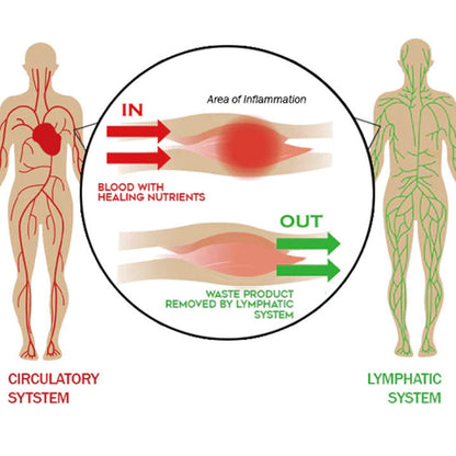 Jewelava Obsidian Thermotherapeutic Anklet