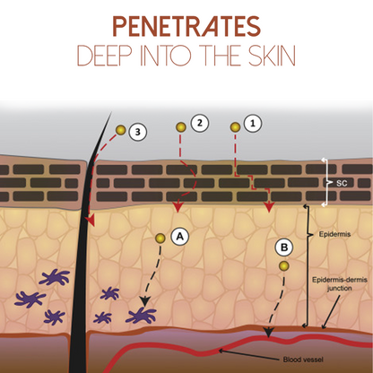 MediGinger AntiSwelling LympUnclog Ointment