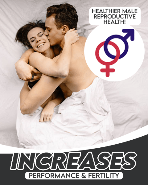 Nightime™ Men's Therapeutic Magnetic Ring